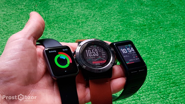 Дисплеи часов Apple Smart Watch, Garmin Fenix 5X. Garmin Vivoactiv HR
