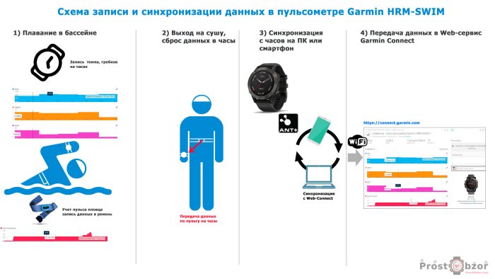 Как сбрасывает данные кардио датчик Garmin HRM Swim