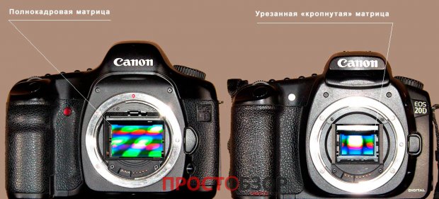сравнение кропнутых мартиц сравнение кропнутых мартиц