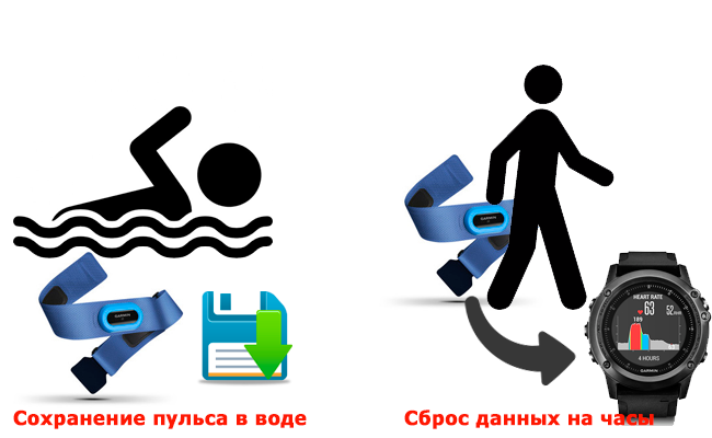 Как работает пульсометр Garmin HRM-Swim в воде Как работает пульсометр Garmin HRM-Swim в воде
