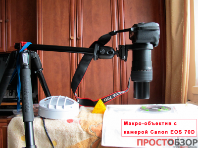 Как проводить макро-съемку объективом Canon MP-E 65mm f-2.8 1-5x Macro Как проводить макро-съемку объективом Canon MP-E 65mm f-2.8 1-5x Macro