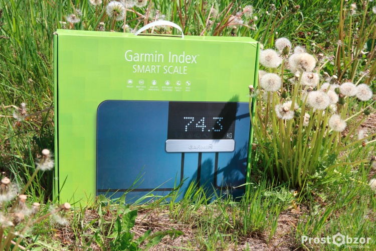 Внешний вид коробки весов Garmin Index Scale - вид спереди Внешний вид коробки весов Garmin Index Scale - вид спереди