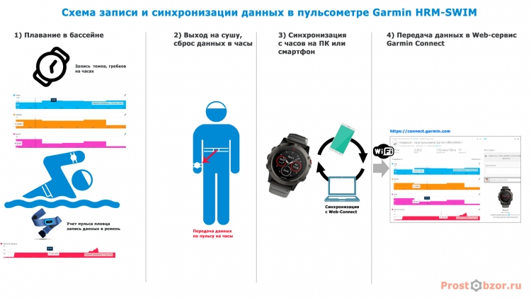 Схема работы пульсометра Garmin HRM-SWIM Схема работы пульсометра Garmin HRM-SWIM