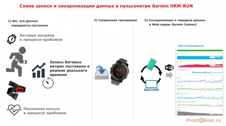 Схема работы пульсометра Garmin HRM-RUN Схема работы пульсометра Garmin HRM-RUN