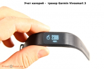 calories-vivosmart
