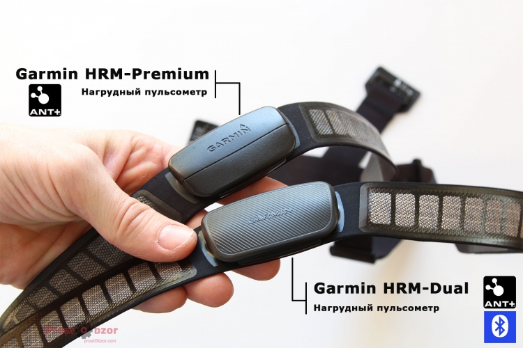 Сравнение нагрудных пульсометров Garmin HRM-Dual vs Garmin HRM-Premium Сравнение нагрудных пульсометров Garmin HRM-Dual vs Garmin HRM-Premium