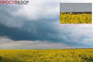 Из чего состоит цифровая фотография