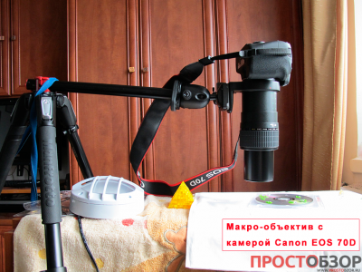 Как проводить макро-съемку объективом Canon MP-E 65mm f-2.8 1-5x Macro