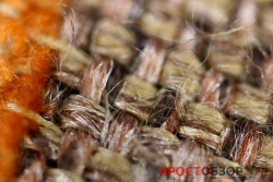 Увеличенное фото Canon MP-E 65mm f-2.8 1-5x Macro