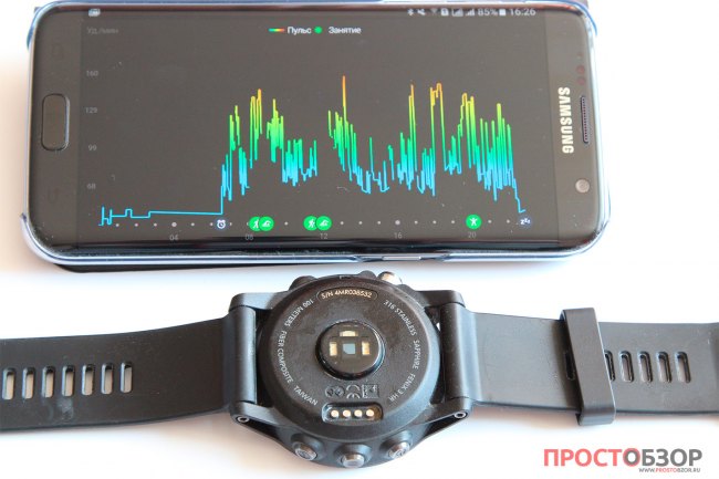 Данные пульса за сутки в мобильном приложении Garmin Connect Mobile