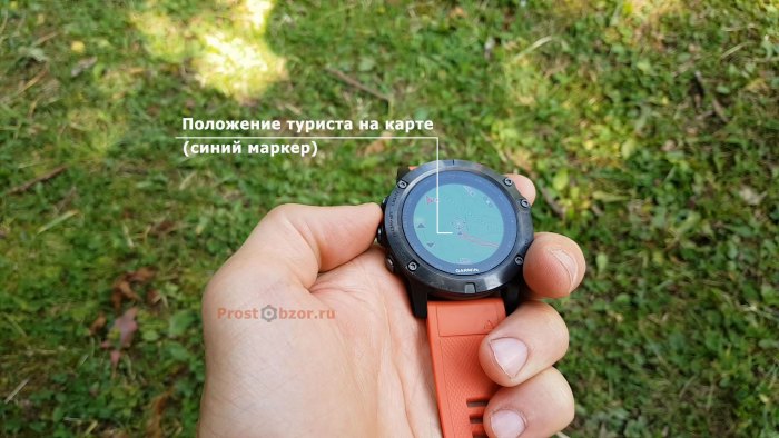 Показать местоположение пользователя на карте