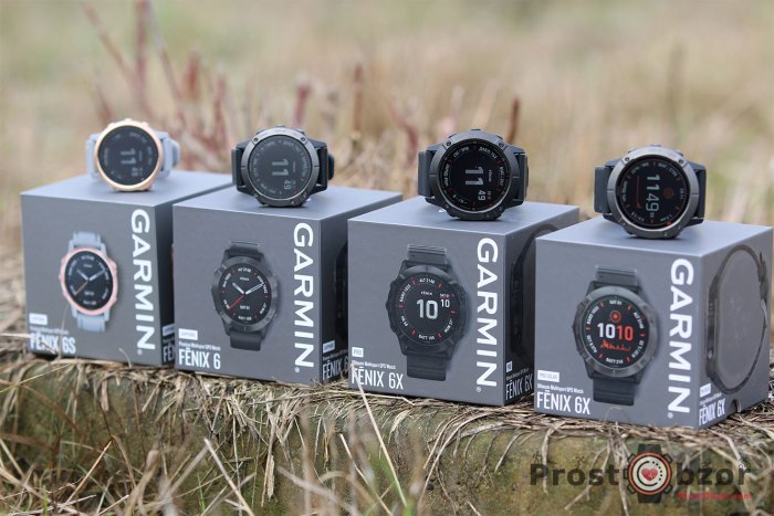 Garmin Fenix серия 6