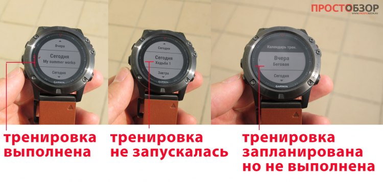 Статусы тренировок в Календаре