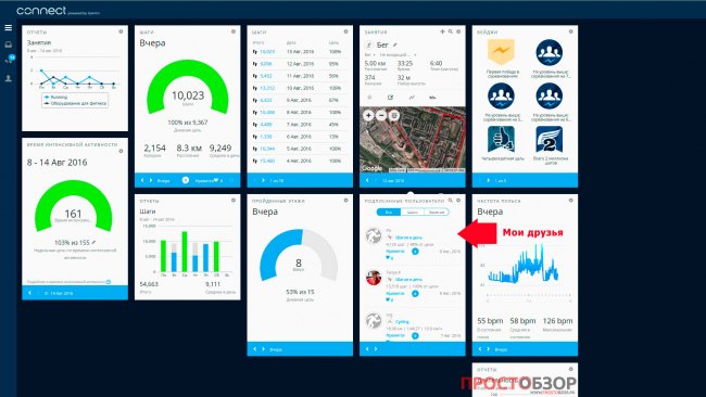 Список друзей в сервисе Garmin Connect на дашборде