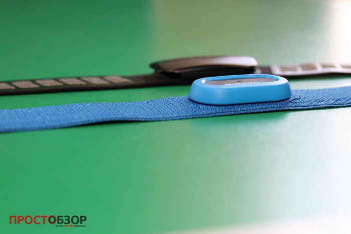 Вид сбоку - Сравнение кардио монитора  Garmin HRM-Swim  - HRM Premium