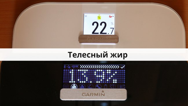 Определения Телесного жира с помощью Garmin Index S2
