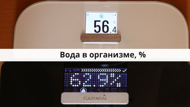 Вода в организме в процентах с помощью Garmin Index S2