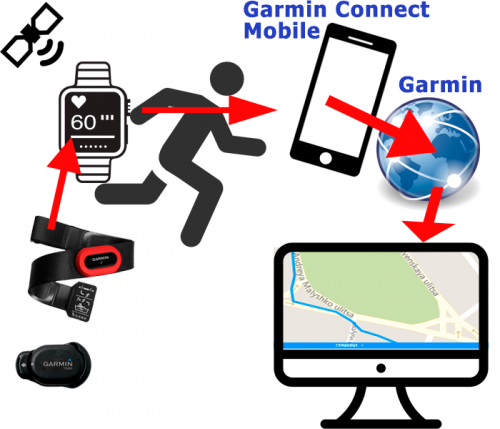 Как работает отслеживание треков Garmin Live Track