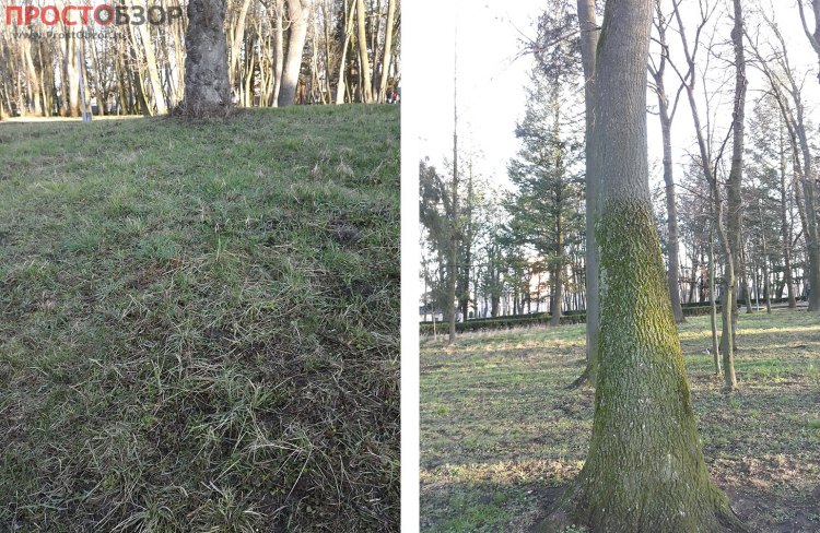 Garmin Monterra - примеры фото с камеры