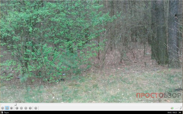 Garmin Monterra - пример видео съемки леса