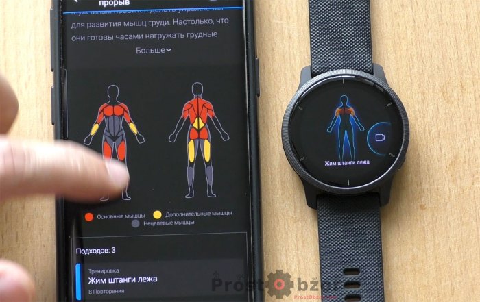 Карты нагрузок на мышцы Garmin Venu 2