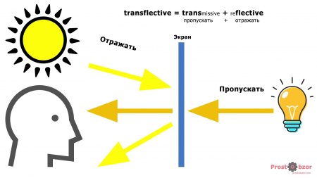 Как работает Трансфлективный дисплей часов Garmin