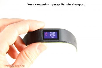 calories-vivosport