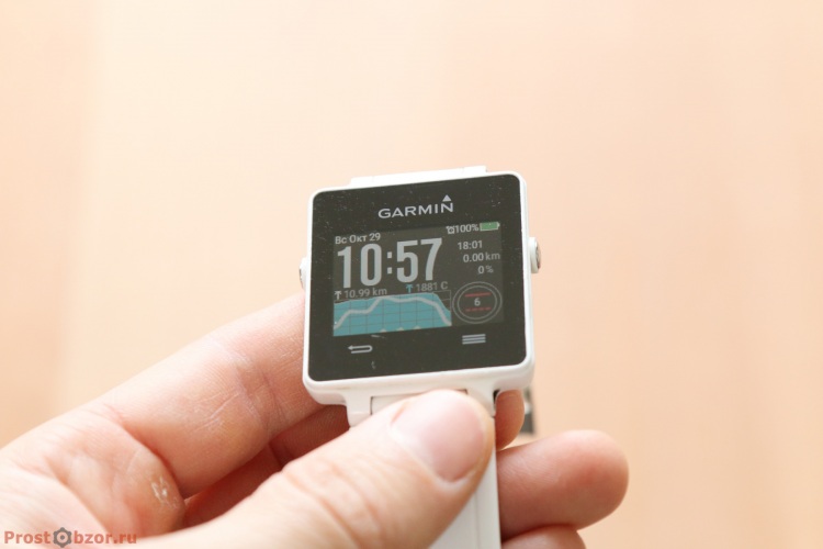 Внешний вид часов Garmin Vivoactive
