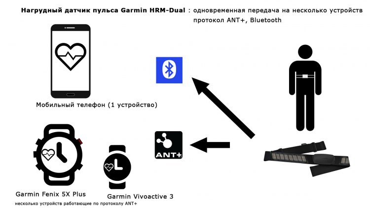 Как работает передача данных по протоколу ANT+, Bluetooth - HRM-Dual