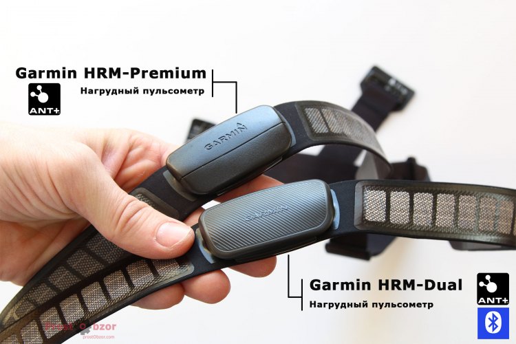 Сравнение нагрудных пульсометров Garmin HRM-Dual vs Garmin HRM-Premium