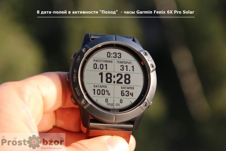 8 дата-полей на экране часов Garmin Fenix 6X pro Solar