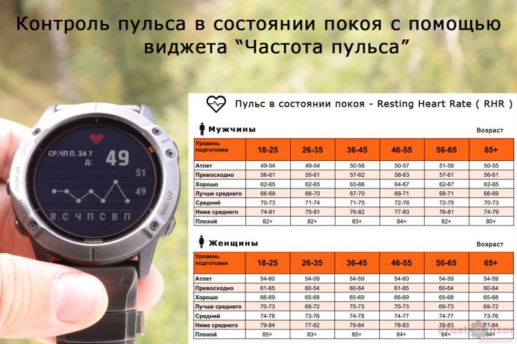 Сводная таблица спортивного состояния пульса в состоянии покоя RHR