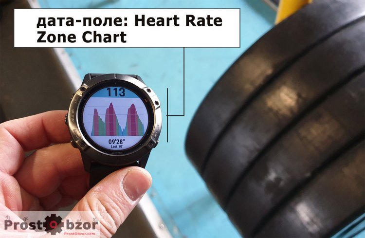 Дата-поле графика пульса Heart Rate Zone Chart