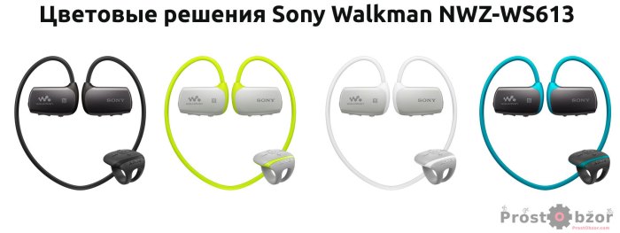 Цветовая гамма плейера  Sony Walkman NWZ-WS613