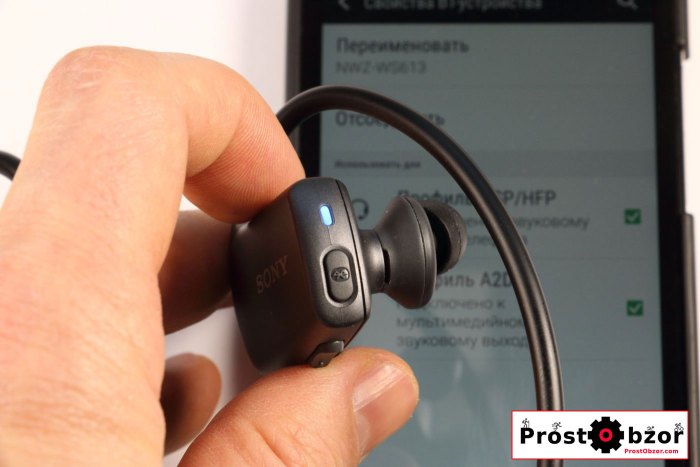 Индикатор Bluetooth подключение Sony Walkman NWZ-WS613
