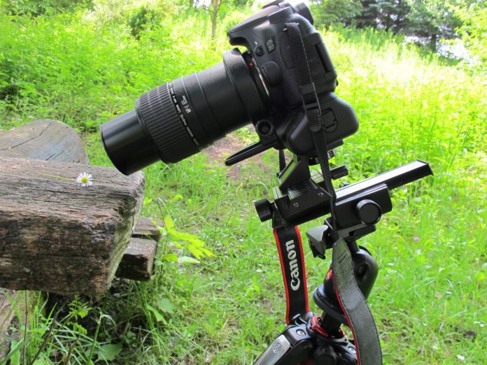 Обзор макро объектива Canon MP-E 65mm f/2.8 1-5x Macro